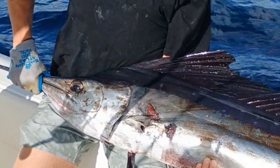 Fort Lauderdale Report Video 1