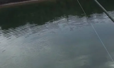 Tampa Report Video 0