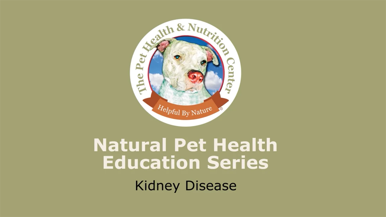 Diet for dog with hotsell pancreatitis and kidney disease