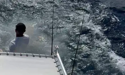 Oranjestad Report Video 0
