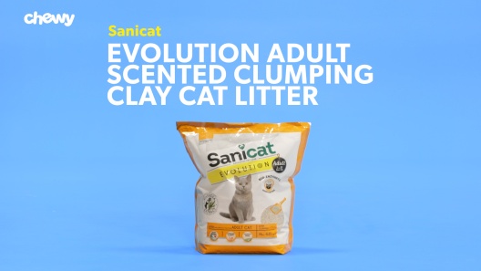 Play Video: Learn More About Sanicat From Our Team of Experts