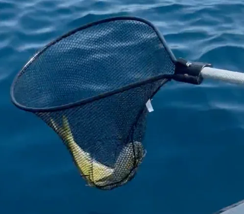 Business Card: Ez Sportfishing