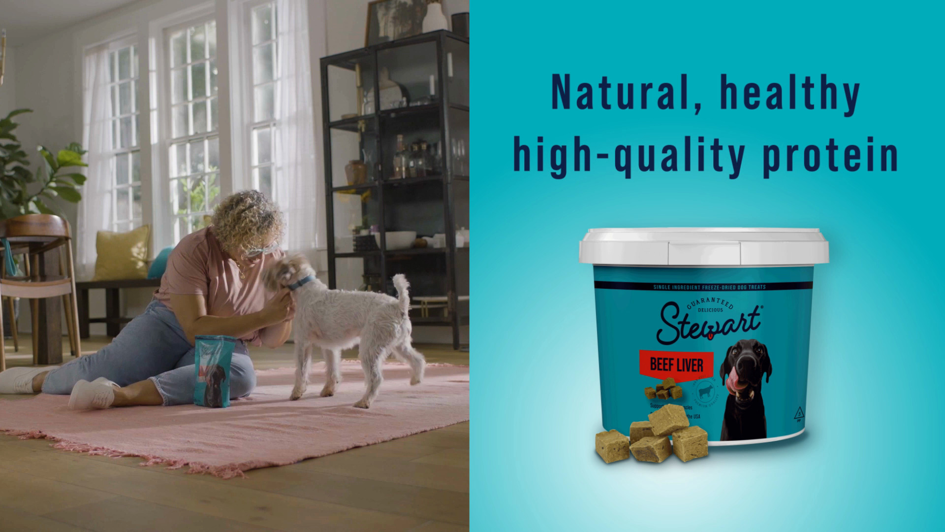 STEWART Beef Liver Freeze Dried Raw Dog Treats 21 oz tub Chewy