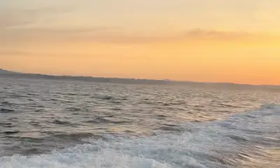 Crabs Crabs and more Crabs 