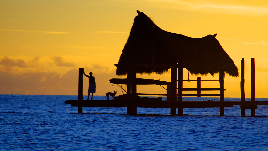 Thumbnail for the listing 'Haggerstone Island – Robinson Crusoe Island Great Barrier Reef'