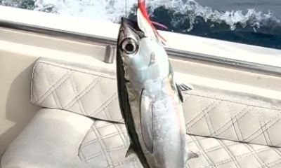 Cartagena Report Video 0