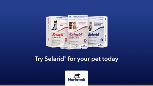 How to Apply Selarid for Dogs  
