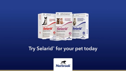 How to Apply Selarid for Dogs