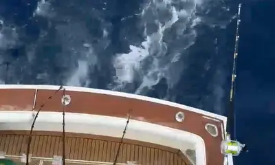 St. Thomas Report Video 0
