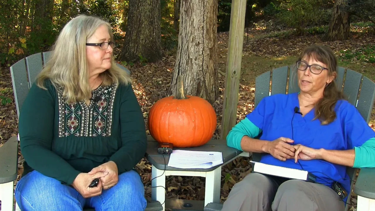 Is Squash Toxic To Dogs