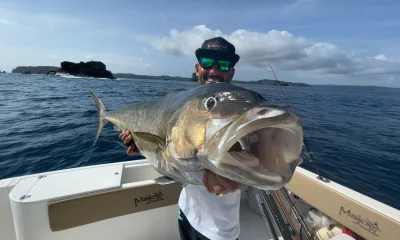 San Carlos Report Video 0