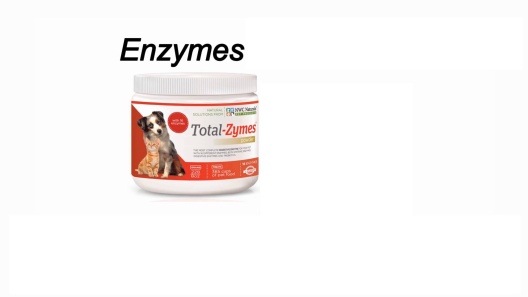 Total ISO Protein Powder - Fruity Cereal + 9-zymes Digestive Enzymes