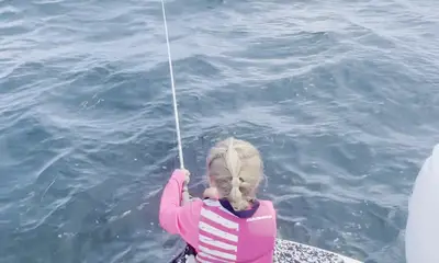 Rapport vidéo Crystal River 0
