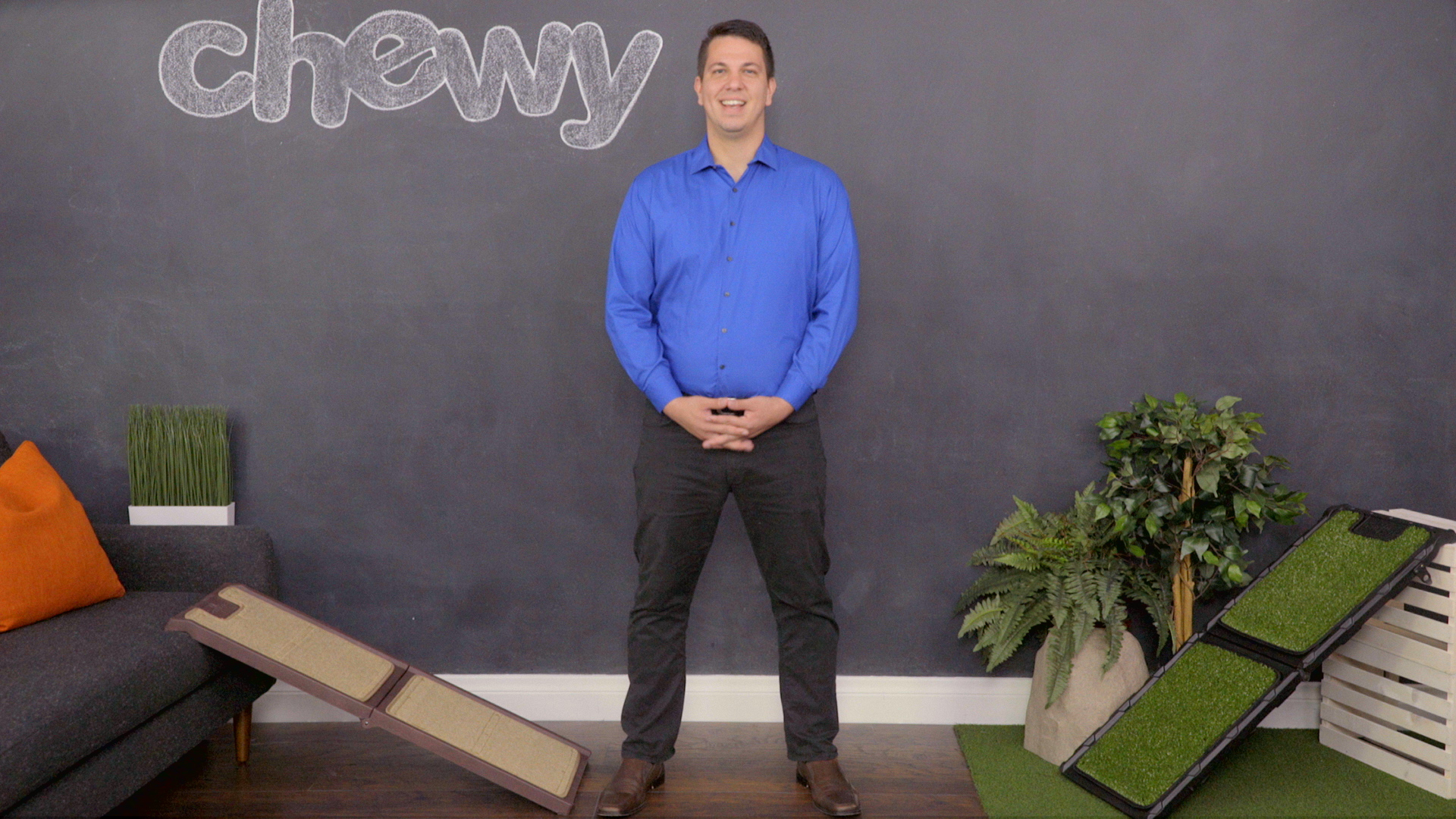 natural step dog ramp