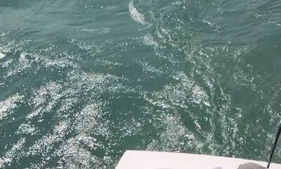Oregon Inlet Report Video 2