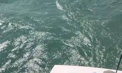 Wanchese Report Video 0