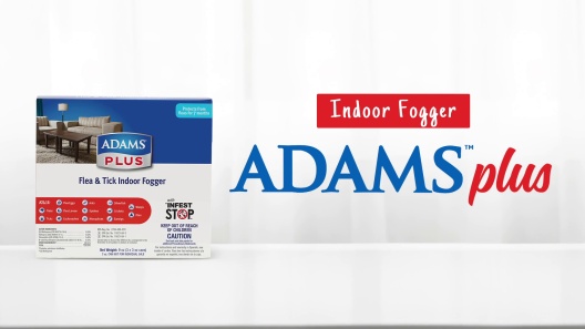 Play Video: Learn More About Adams From Our Team of Experts