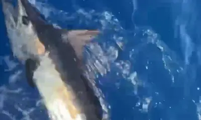 St. Thomas Report Video 0