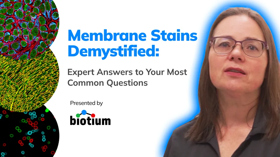 CellBrite® Fix Membrane Stains - Biotium
