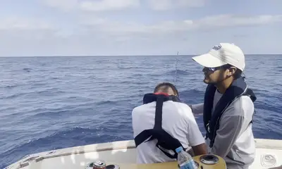Olhão Report Video 0