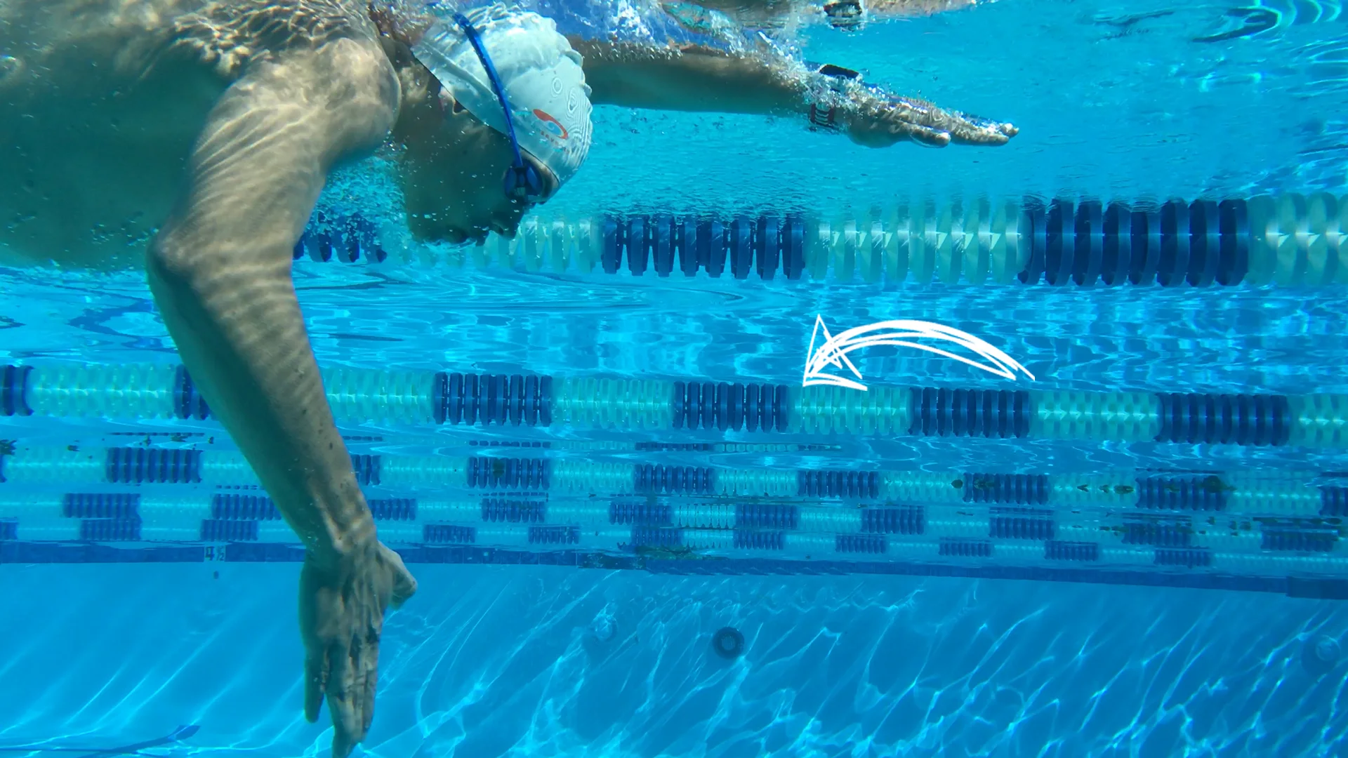 swimming training online