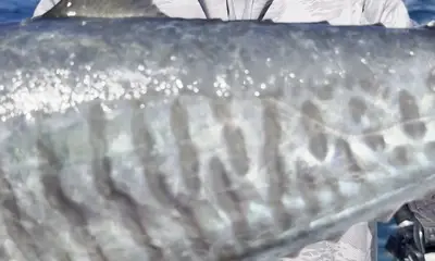 all that was promised was delivered