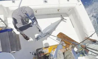 Cabo San Lucas Bericht Video 0