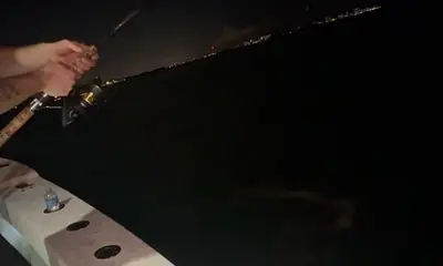 Miami Report Video 0