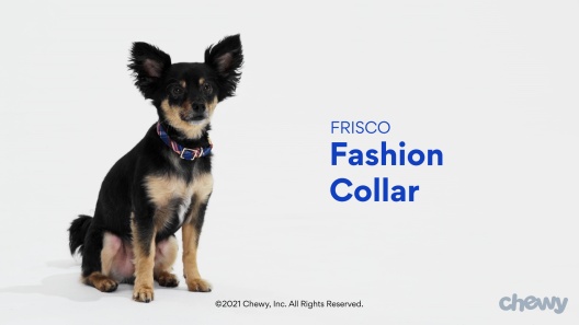 Play Video: Learn More About Frisco From Our Team of Experts