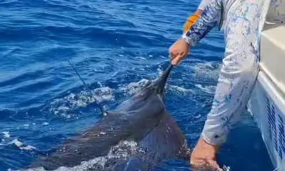 Herradura Report Video 0