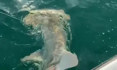 Fort Myers Report Video 0