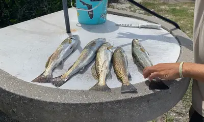 Awesome Fishing Trip!