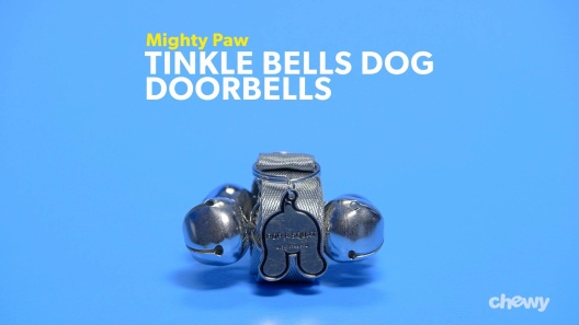 Play Video: Learn More About Mighty Paw From Our Team of Experts