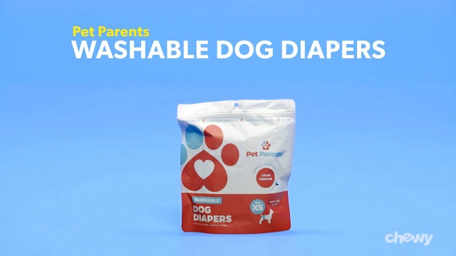 Pet Parents Washable Male Female Dog Diapers Southern Belle X Small 4 To 10 In Waist 3 Count Chewy Com