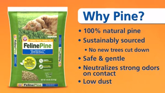 Play Video: Learn More About Feline Pine From Our Team of Experts