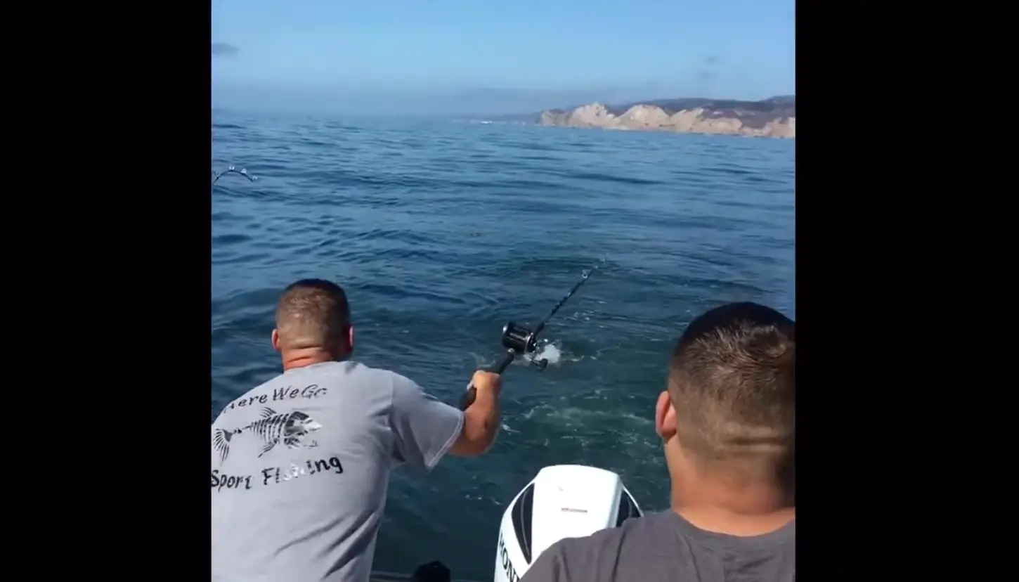 Business Card: Here We Go Sport Fishing