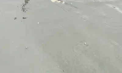 Paquera Report Video 1