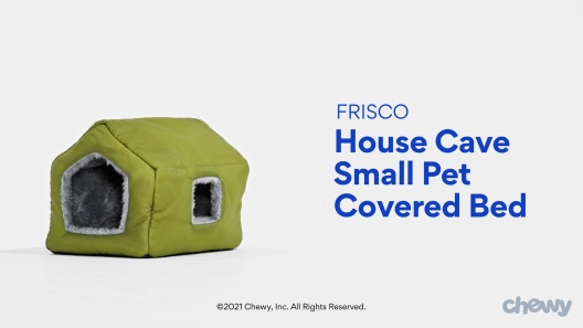 Play Video: Learn More About Frisco From Our Team of Experts