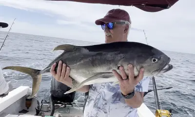 La Cruz De Huanacaxtle Report Video 0