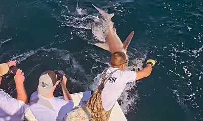 Destin Report Video 1