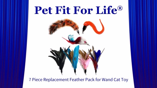Play Video: Learn More About Pet Fit For Life From Our Team of Experts