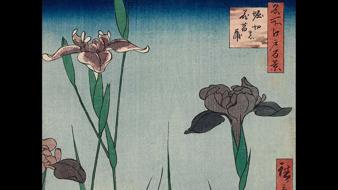 アイリスの花 日本画 アイリスの花 日本画 - SANDALCASA 日本
