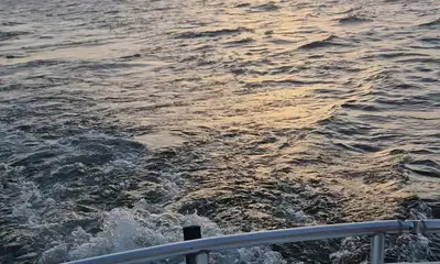 What a Great Trip!