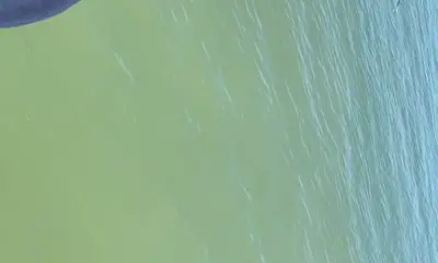 Port Isabel Report Video 0
