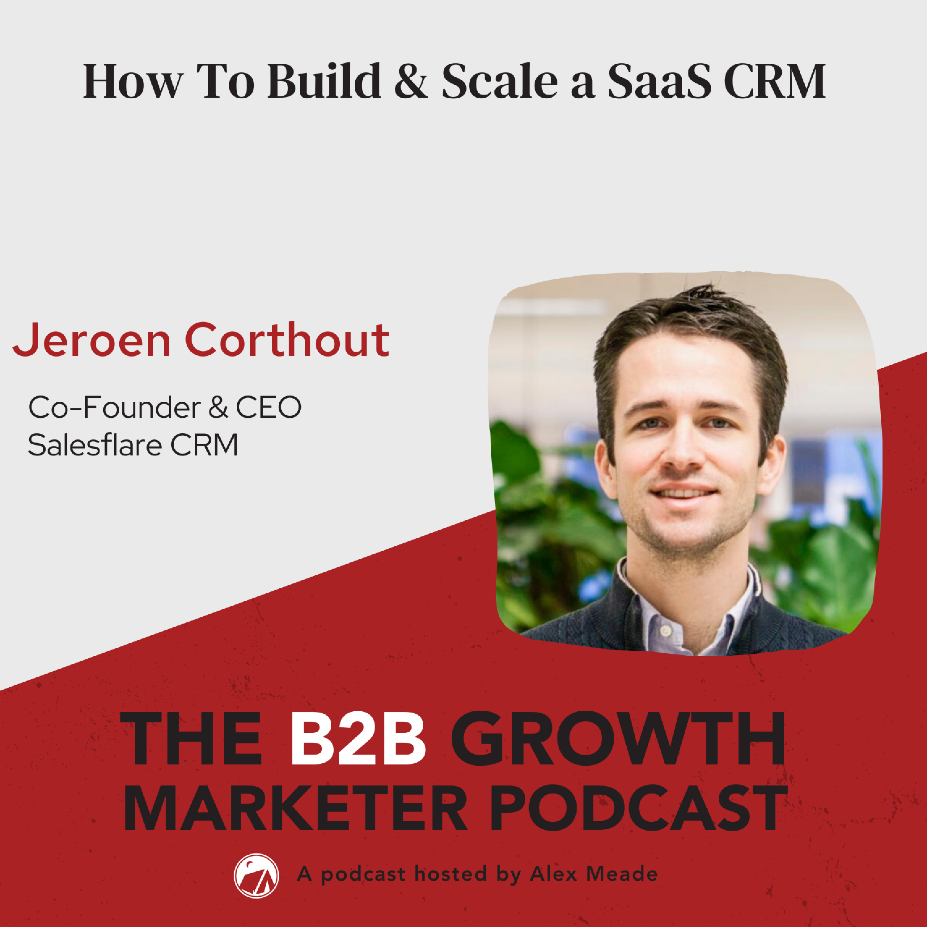 The B2B Growth Marketer