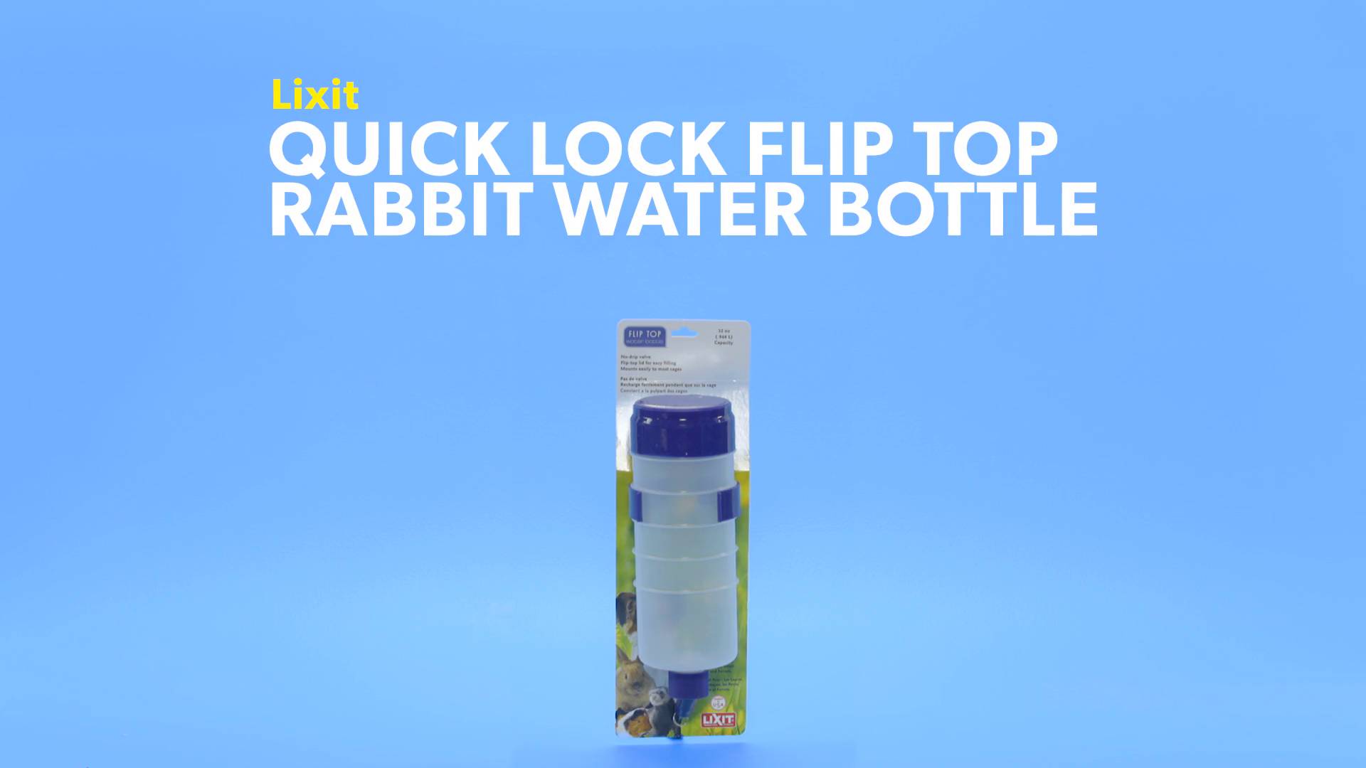 Lixit flip hotsell top water bottle