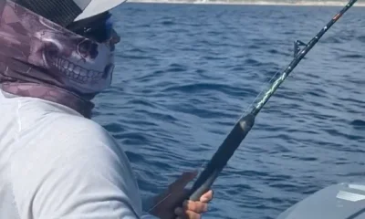 San Jose del Cabo Report Video 0