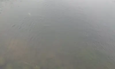 Atlanta Report Video 1