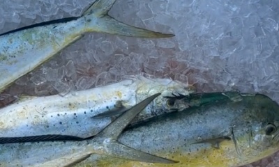 6hr offshore 