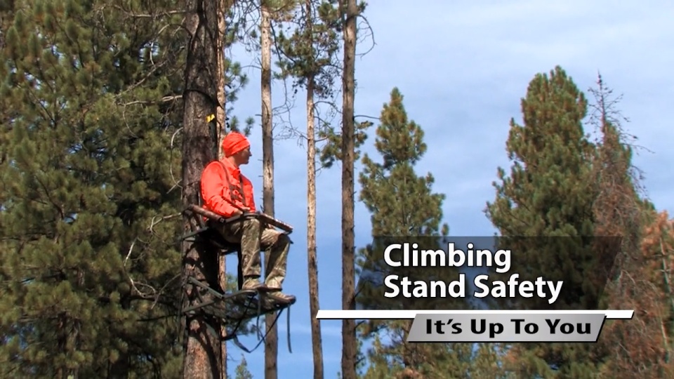 Climbing Stand Safety